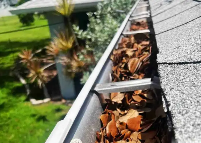 Gutter Cleaning DeBary FL home page